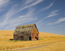 Red Barn at Harvest Time Near Potlach, Western Idaho