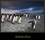 Antarctica