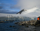 Port Lockroy - Bristish Station Antarctica