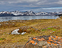 High Arctic of Spitsbergen Norway