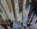 Sagenite agate
