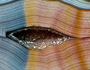 Banded Agates