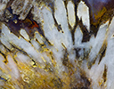 Sagenite agate