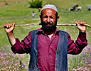 Herder in wildflower field near Mt. Nemrut, Turkey