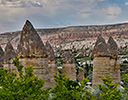 Valley of Love with Bearded Iris in bloom, Cappadocia Turkey